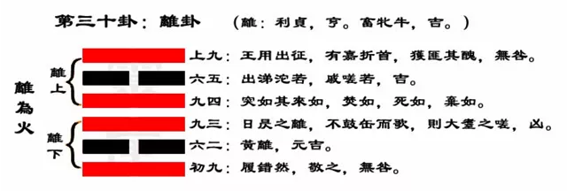 离卦解读