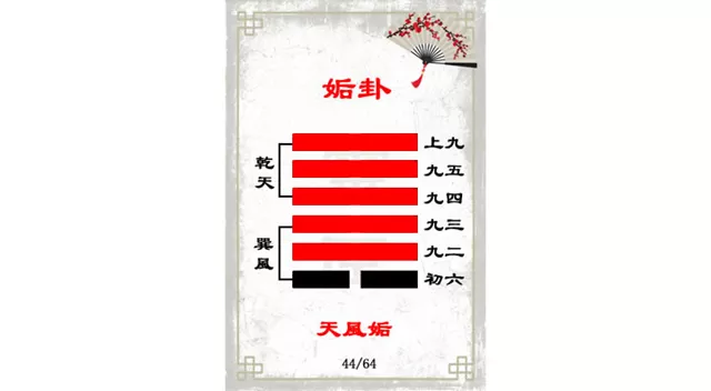 姤卦解读